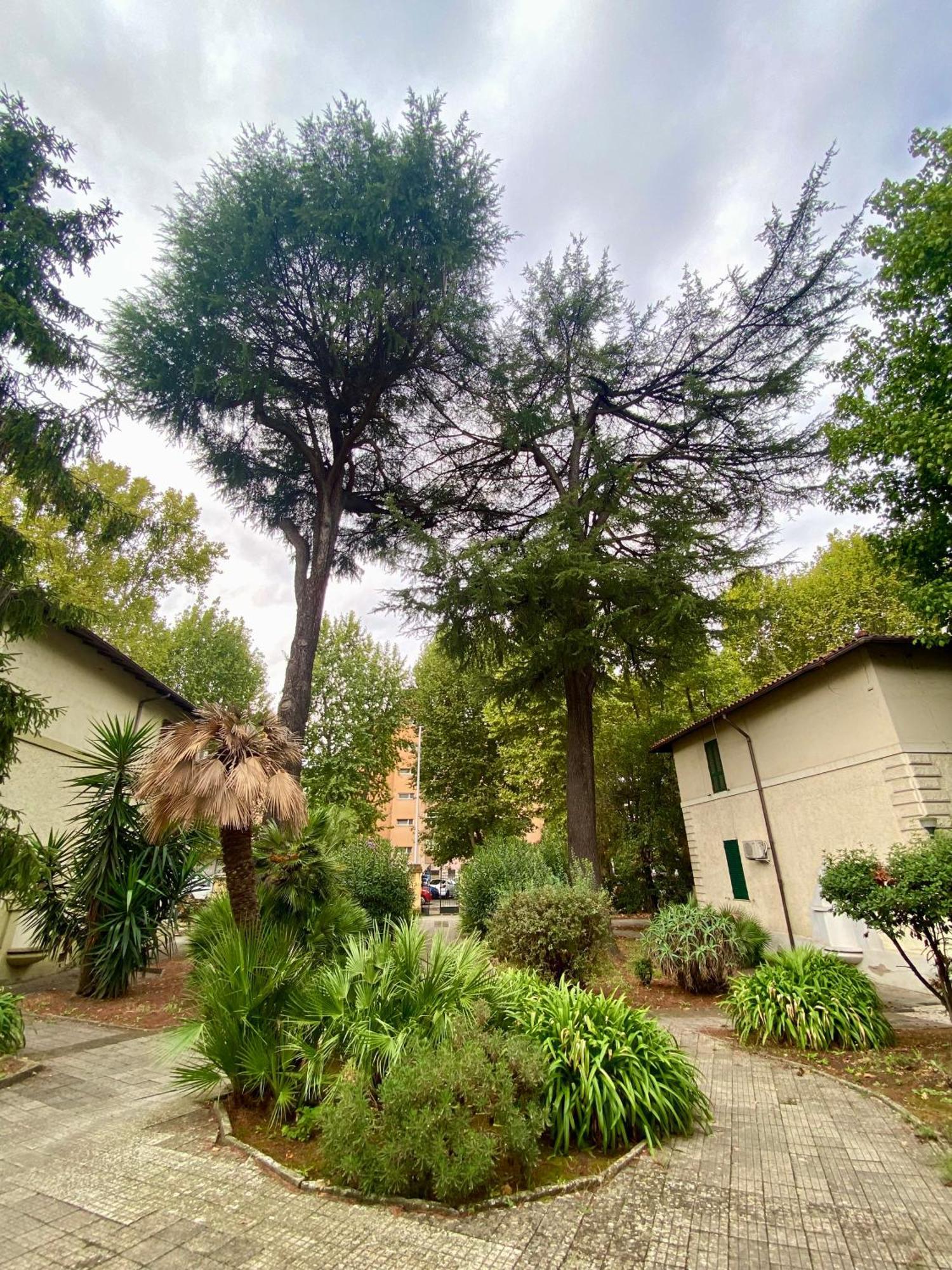 A Casa Con Greta Apartment Roma Ngoại thất bức ảnh
